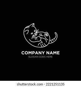 Cute kitten animal holding paw logo suitable for vet petshop business