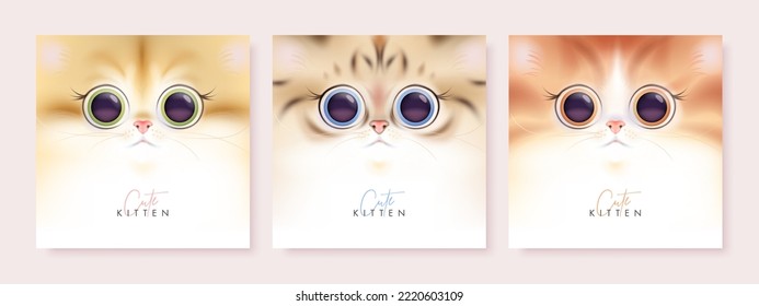 Cute kitten background template set. Vector illustration
