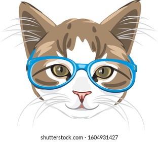 Cute kitten in blue glasses. Vector