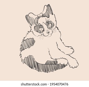 Cute kitten with a bow sketch drawing