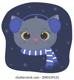 A cute kitten of the British breed is dressed in a hat and a scarf in winter. Against the background of the night sky and snowflakes