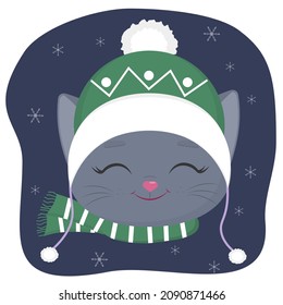 A cute kitten of the British breed is dressed in a hat and a scarf in winter. Against the background of the night sky and snowflakes