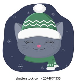 A cute kitten of the British breed is dressed in a hat and a scarf in winter. Against the background of the night sky and snowflakes