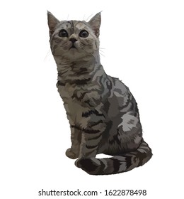 Cute kitten british breed vector portrait