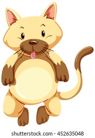 Cute kitten with brown fur illustration
