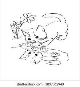 lindo gatito las páginas de colores del gato