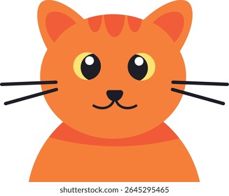 gatinho bonito gato bonito gato laranja