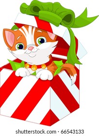 Cute kitten in a Christmas  gift box