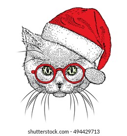 Cute kitten in a Christmas hat and sunglasses. Vector illustration.