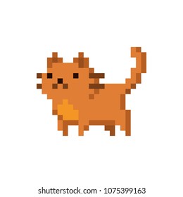 cute-kitten-domestic-pet-pixel-260nw-107