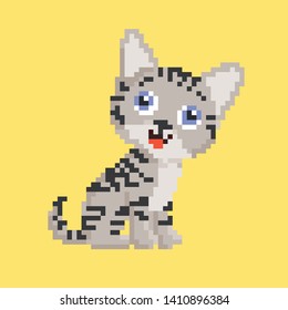 Cute kitten domestic pet pixel art - isolated vector illustration