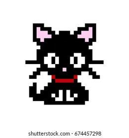 Cute kitten domestic pet pixel art - isolated vector