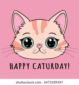 Cute kitten face, Happy Caturday slogan text for t-shirt graphics, fashion prints and other uses