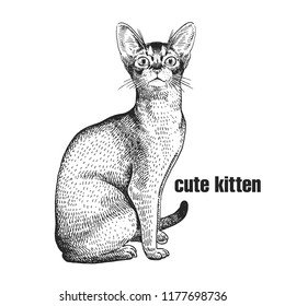 Cute kitten. Home pet isolated on white background. Sketch. Vector illustration art. Realistic portrait of animal in style vintage engraving. Black and white hand drawing of cat.