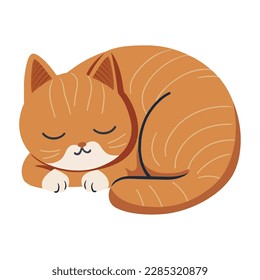 Cute kitten icon, sleeping animal icon isolated