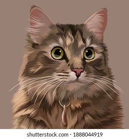 cute kitten illustration with brown fur with big eyes