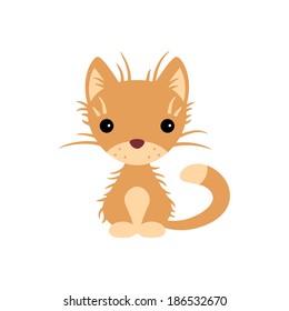 Cute kitten isolated on white