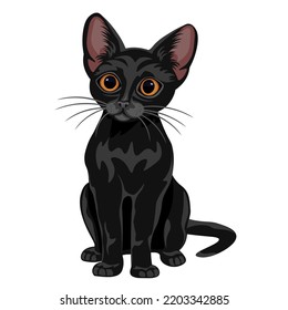 Cute kitten isolated on white background. Black cat, cartoon drawing, vector illustration.