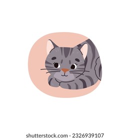 Cute Kätzchen auf Farbhintergrund für Aufkleber und Kleidungsabdrücke, Cartoon-Flavektor-Illustration einzeln auf weißem Hintergrund. Funny gestreifte Katze oder Kätzchen Charakter.
