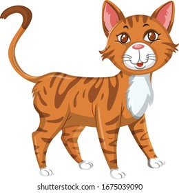 Cute kitten on white background illustration