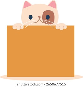 Cute kitten peeking out box
