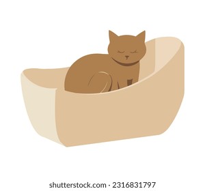 Cute kitten in a pillow icon isolated