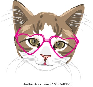 Cute kitten in pink glasses. Vector