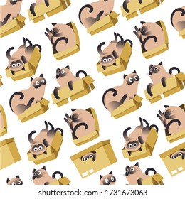 Cute kitten playing in carton box seamless pattern. Domestic pet in container, hiding and sitting. Playful cat with spots on coat. Portrait of purebred lovable feline animal, vector in flat style