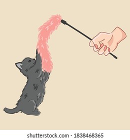 Cute kitten playing element vector illustration