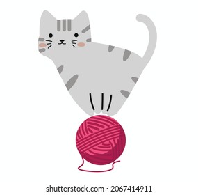 Cute  kitten with red ball of yarn animal
