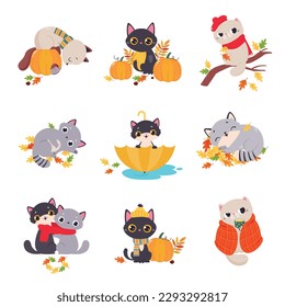 Cute Kitten in Scarf in Autumn Season with Bright Foliage Vector Set