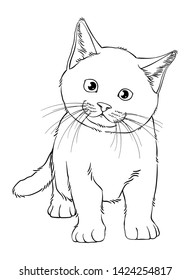 Cute Kitten Simple Line Art Illustration, Hand Drawn Sketch, Isolated Vector
