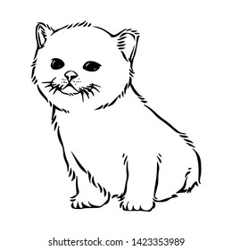 Cute Kitten Simple Sketch, Hand Drawn Illustration, Isolated Vector