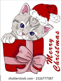 Cute kitten sits in a gift. Merry Christmas - lettering quote.  Cat Card, t-shirt composition, hand drawn style print. Vector illustration