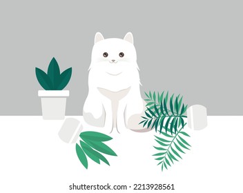 cute kitten sits near potted plants. the white cat dropped the pots of flowers.	