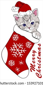 Cute kitten sits in a sock for gifts. Merry Christmas - lettering quote.  Cat Card, t-shirt composition, hand drawn style print. Vector illustration