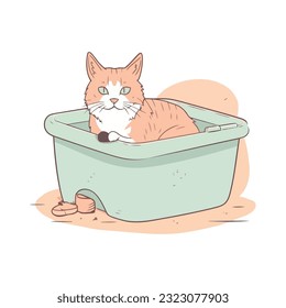 Un gatito lindo sentado en una caja sobre blanco