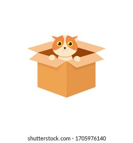  
Cute kitten sitting in a cardboard box. Cartoon vector illustration.