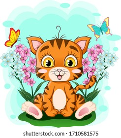 Cute kitten sitting in the grass