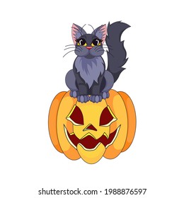 Cute kitten sitting on Jack O'Lantern in Cartoon design style, long-haired black cat with carved pumpkin on white isolated background for prints, patterns, booklets, stickers, postcards, icons.