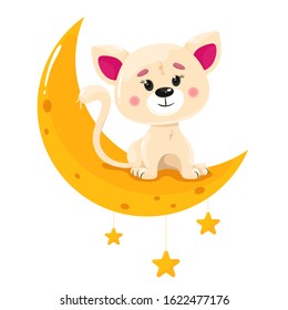 Cute kitten is sitting on the moon. Vector illustration in cartoon style. White background.