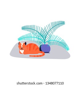 Cute kitten sleep near houseplant. Guilty cat colorful concept isolated on white background. Naughty cat eating house plant. Flat Art Vector illustration