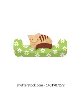 Cute kitten sleeping on the green pillow with daisies pattern. Flan cartoon vector illustration. Cat hand draw animal, t-shirt print, kid graphic, Vector artwork for children wear in custom colors.
