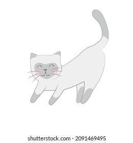 süßes Kätzchen, das die siamesische Katze ausstreckt