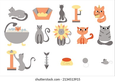 Cute kitten vector illustration with different cat breeds, toys and food