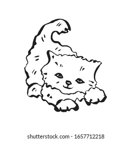 Cute kitten. Vector illustration in line art style. Suitable for coloring books, postcards, stickers.