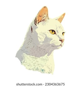Cute kitten watching cheerful icon isolated
