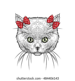 Cute kitten wearing a bows. Vector illustration. Drawing for greeting cards, prints on clothes or poster. Girl.