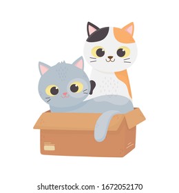 Cute kittens in box domestic. Pet cartoon vector illustration