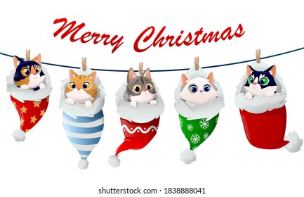 Cute kittens christmas pattern in socks. Happy cats sleeping in socks and a red bags. Christmas cats, Merry Christmas illustrations with  winter theme.Vector illustration